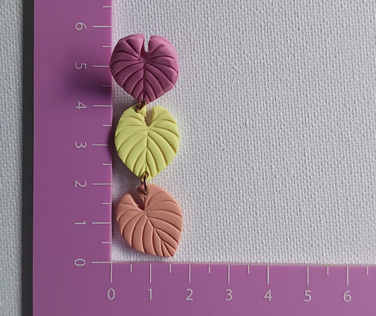 Sorbet Delight. Leaves