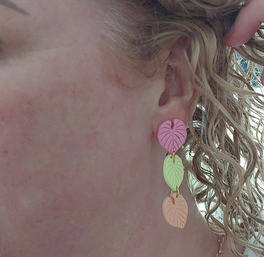 Sorbet Delight. Leaves