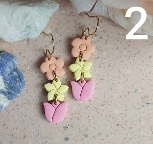 Sorbet Delight. Blooms