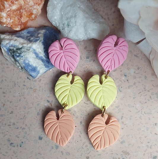 Sorbet Delight. Leaves