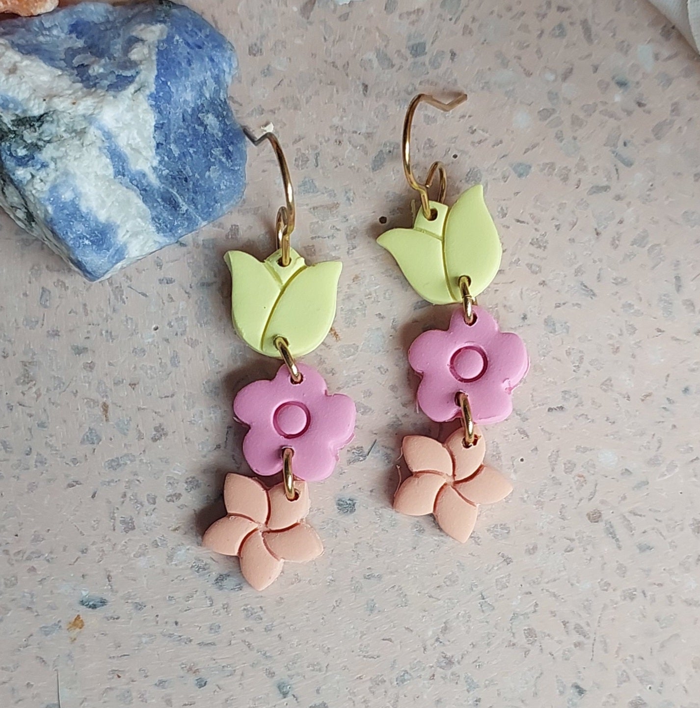 Sorbet Delight. Blooms