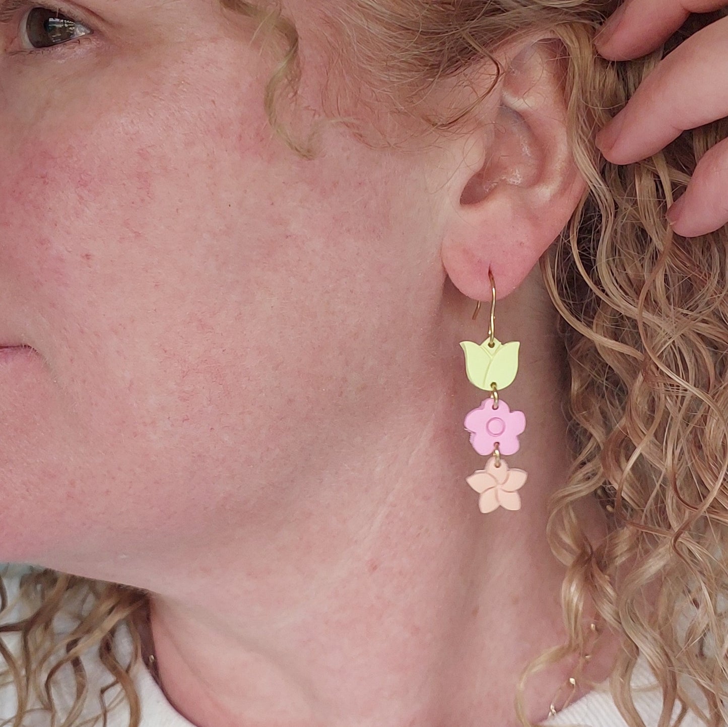 Sorbet Delight. Blooms