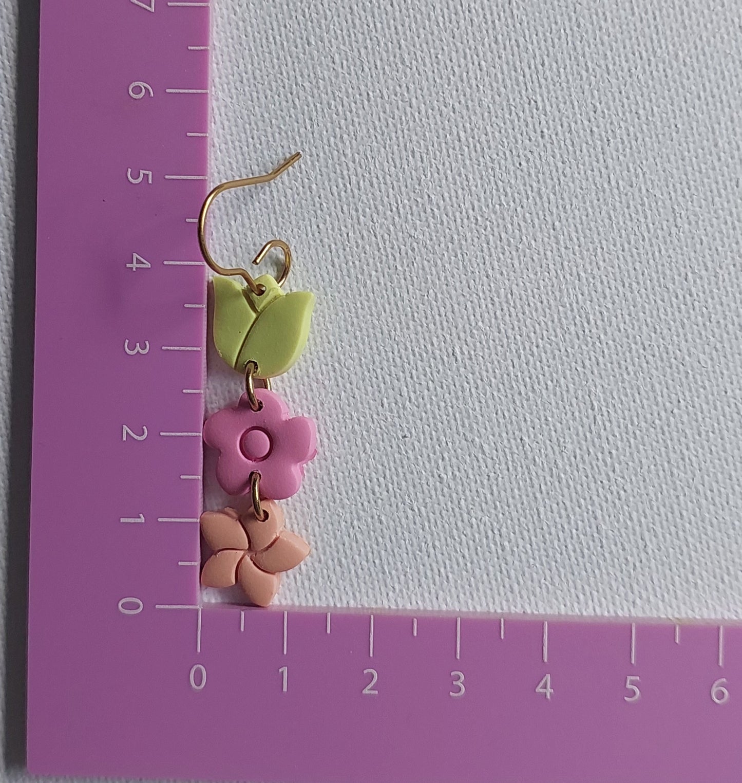 Sorbet Delight. Blooms