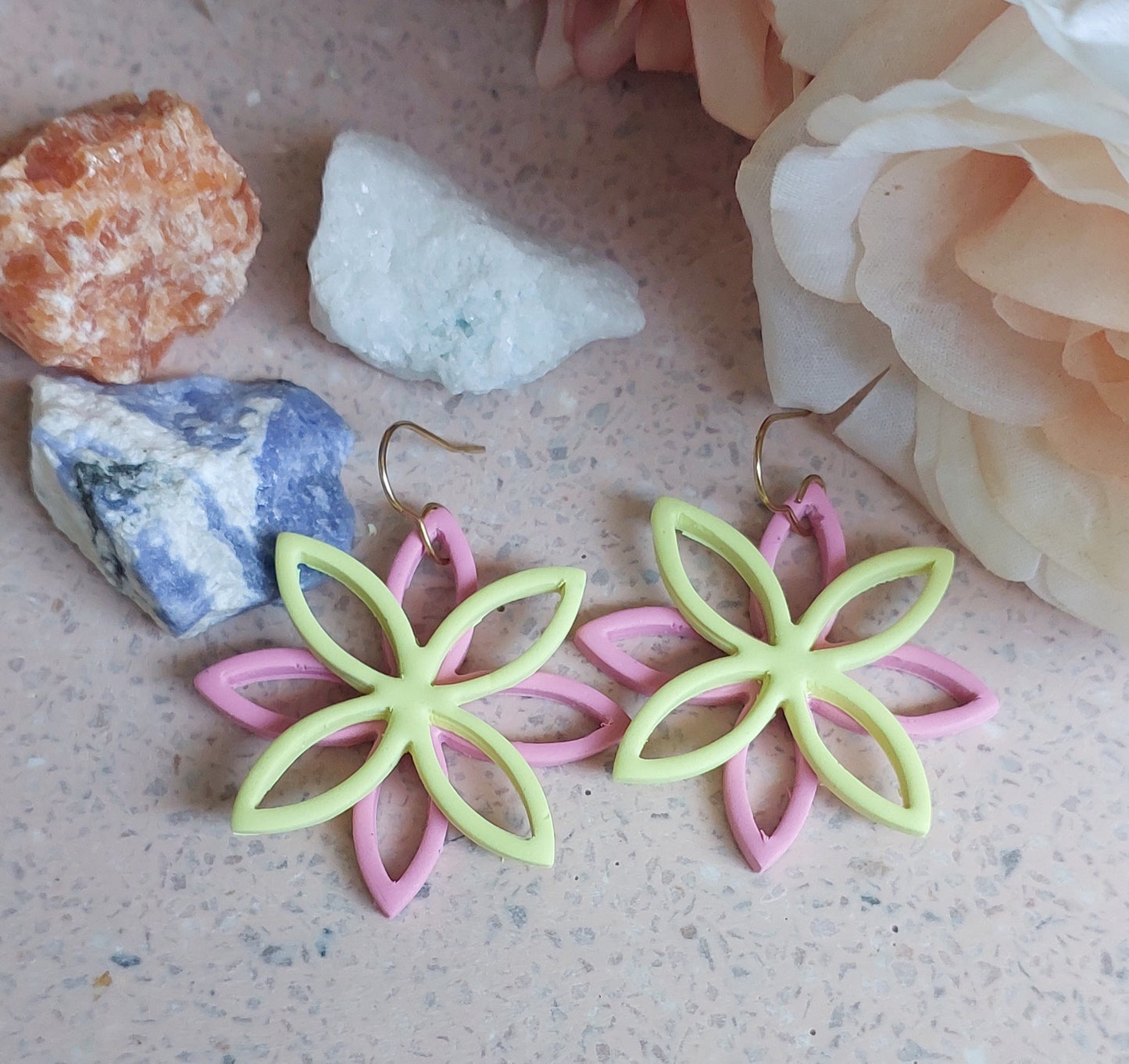 Sorbet Delight. Starflower