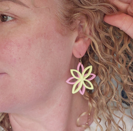 Sorbet Delight. Starflower