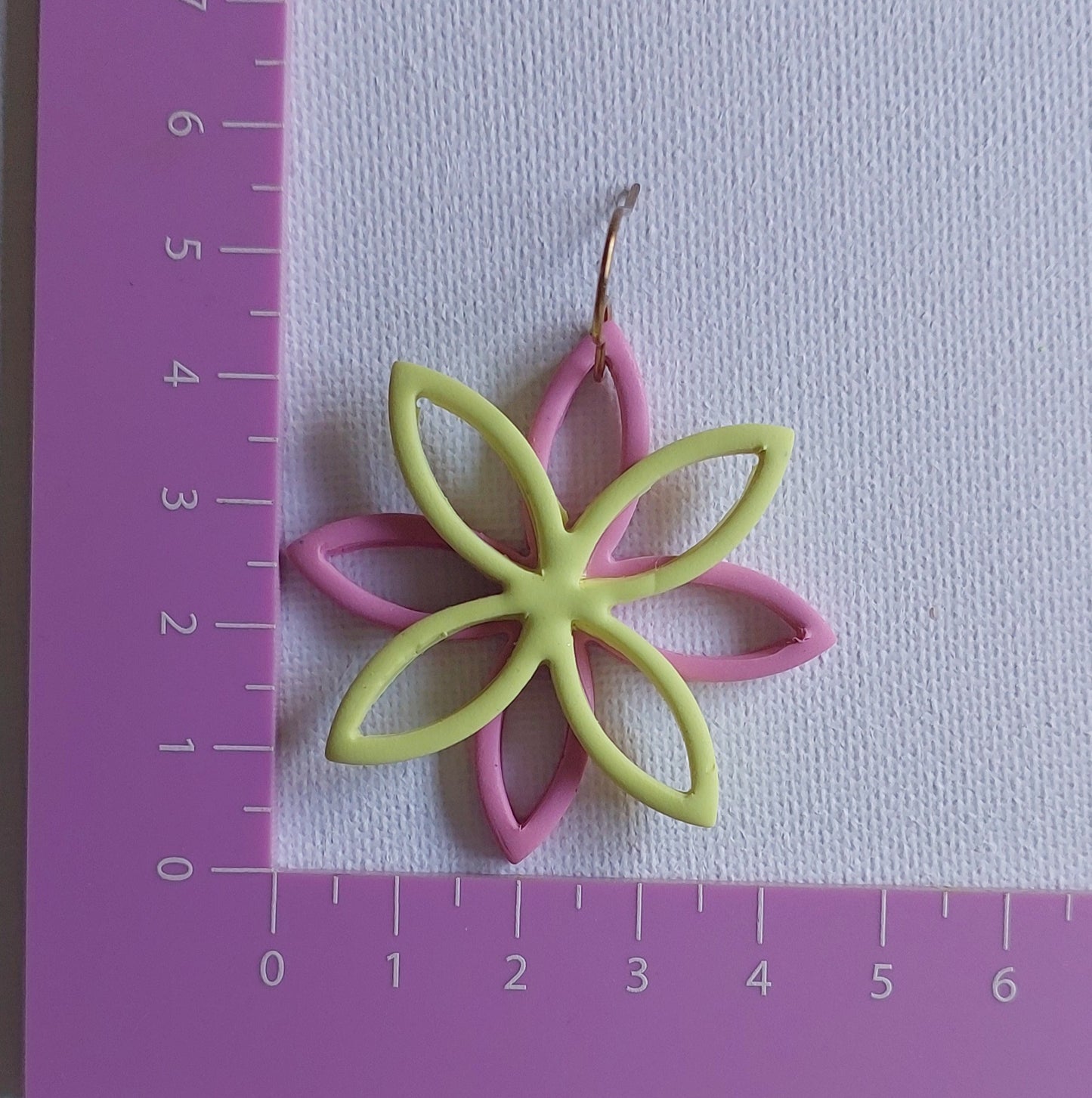 Sorbet Delight. Starflower